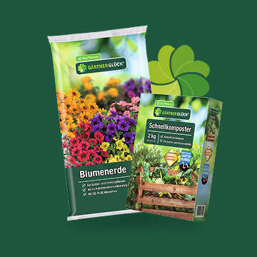 Gaertnerglueck Bubblenavi Erden